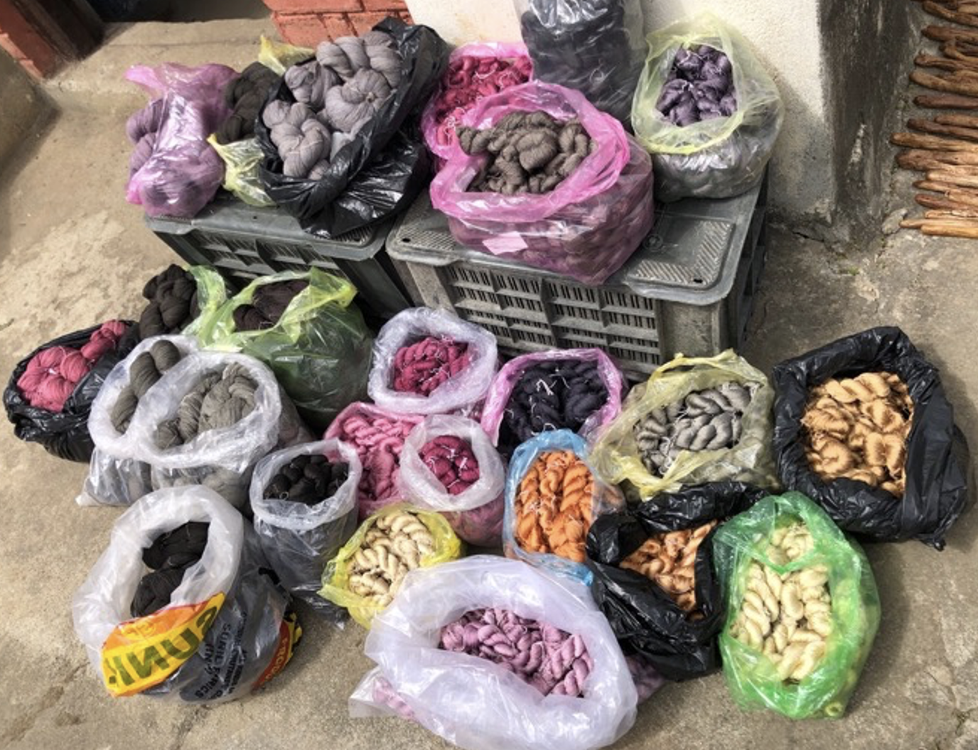 Skeins of naturally dyed yarn