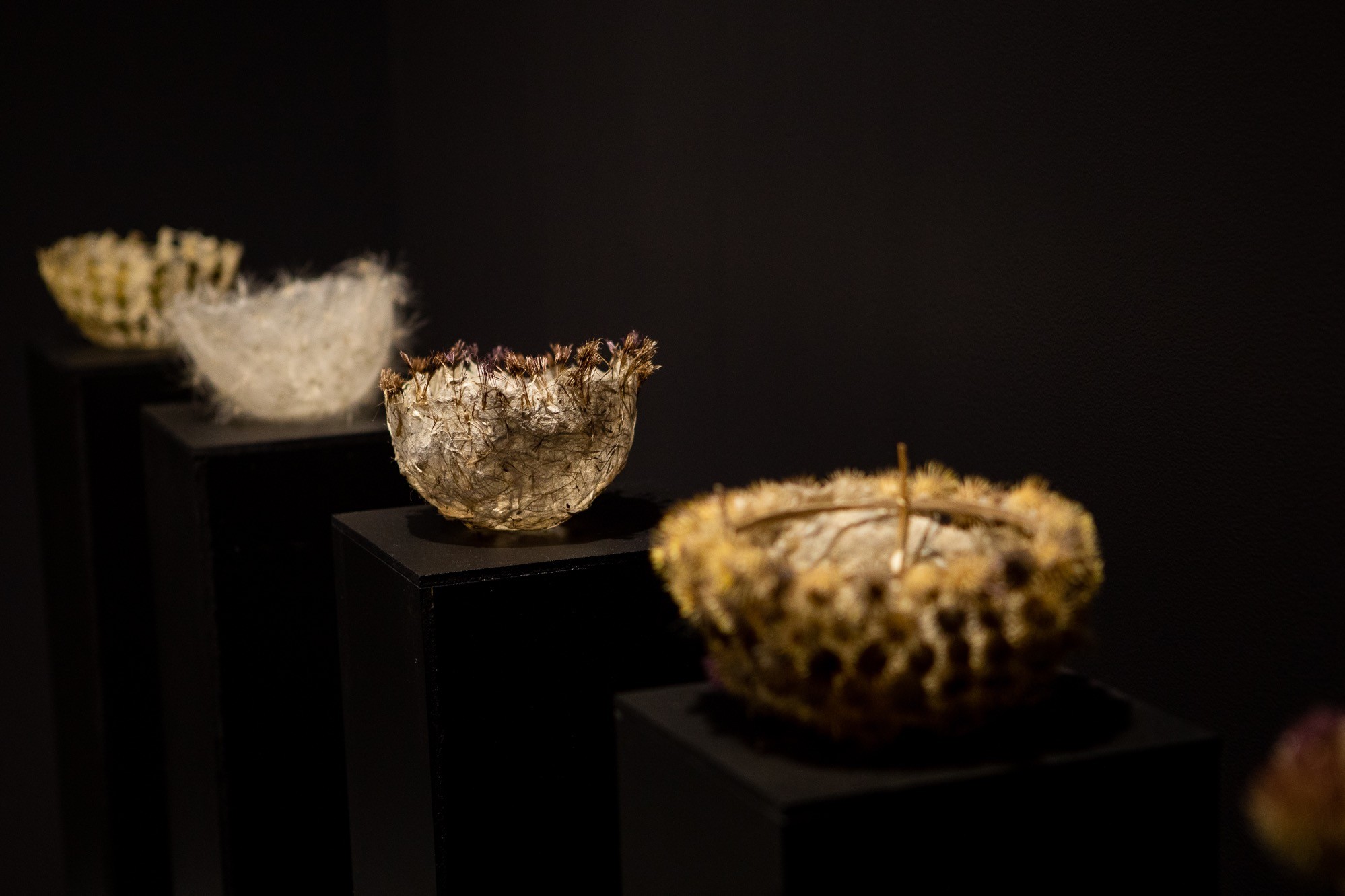 Thistle-paper bowls displayed on black pedestals