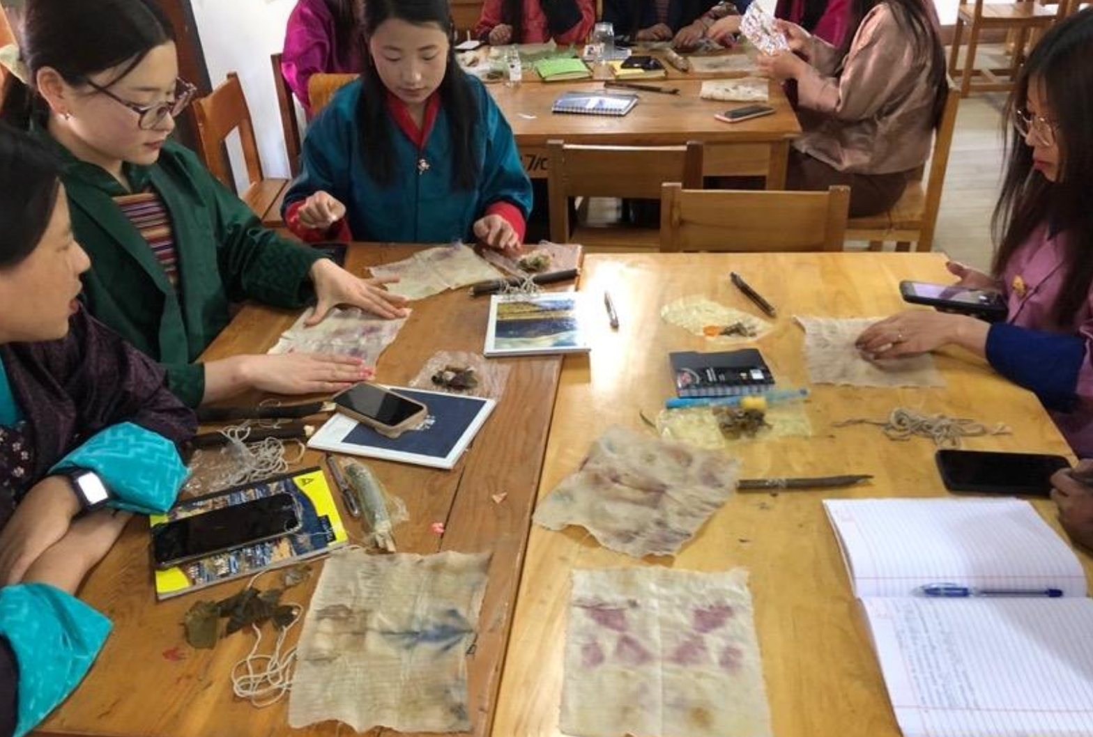 Students recording and documenting natural dye samples
