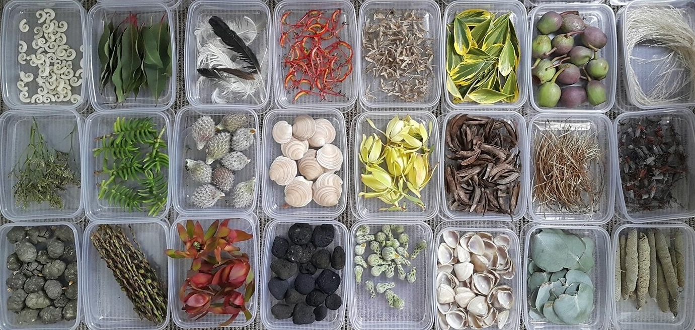 Trays of natural materials gathered for the residency