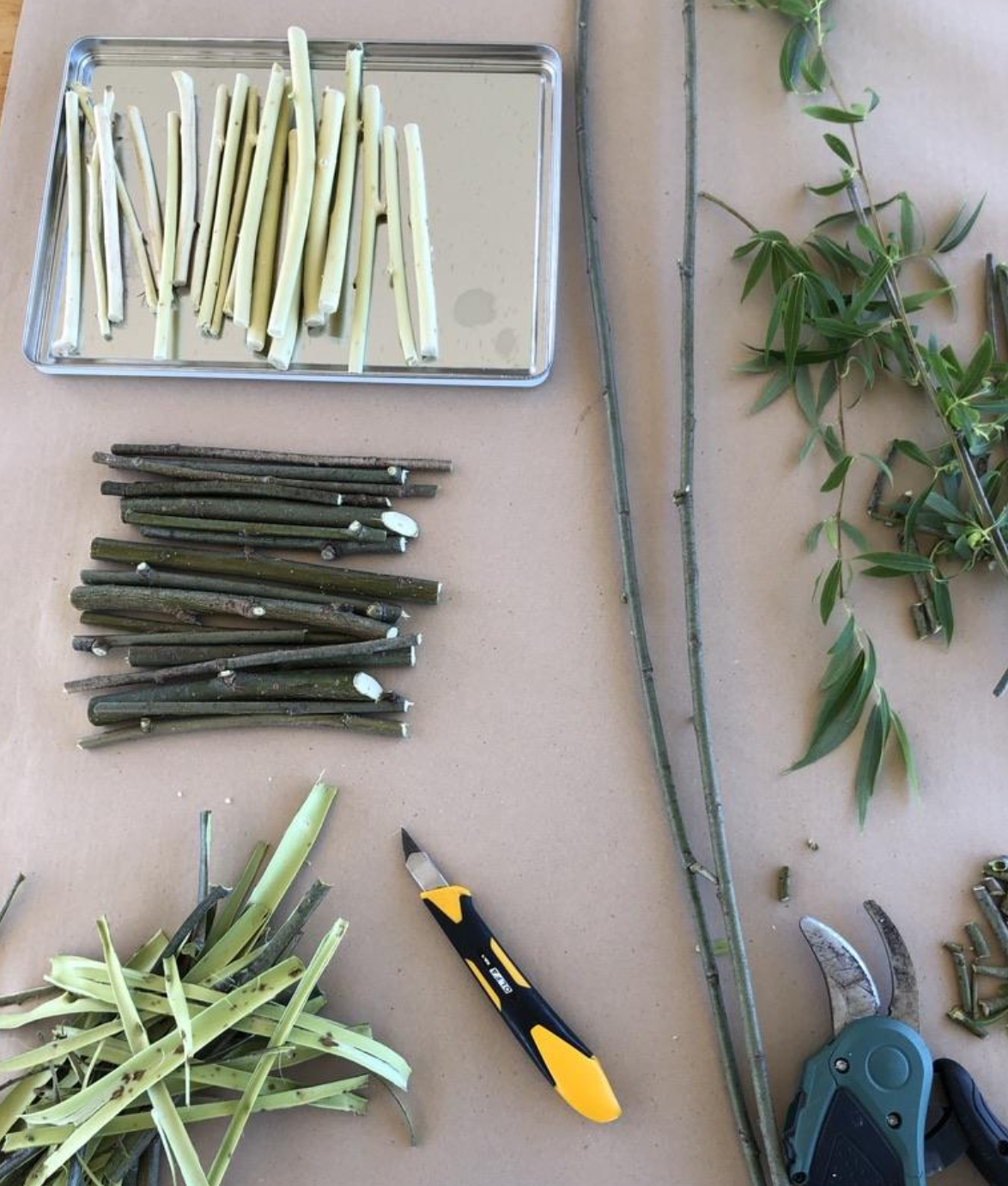 Willow sticks, stripped bark, a craft knife and secateurs laid out on paper for making charcoal