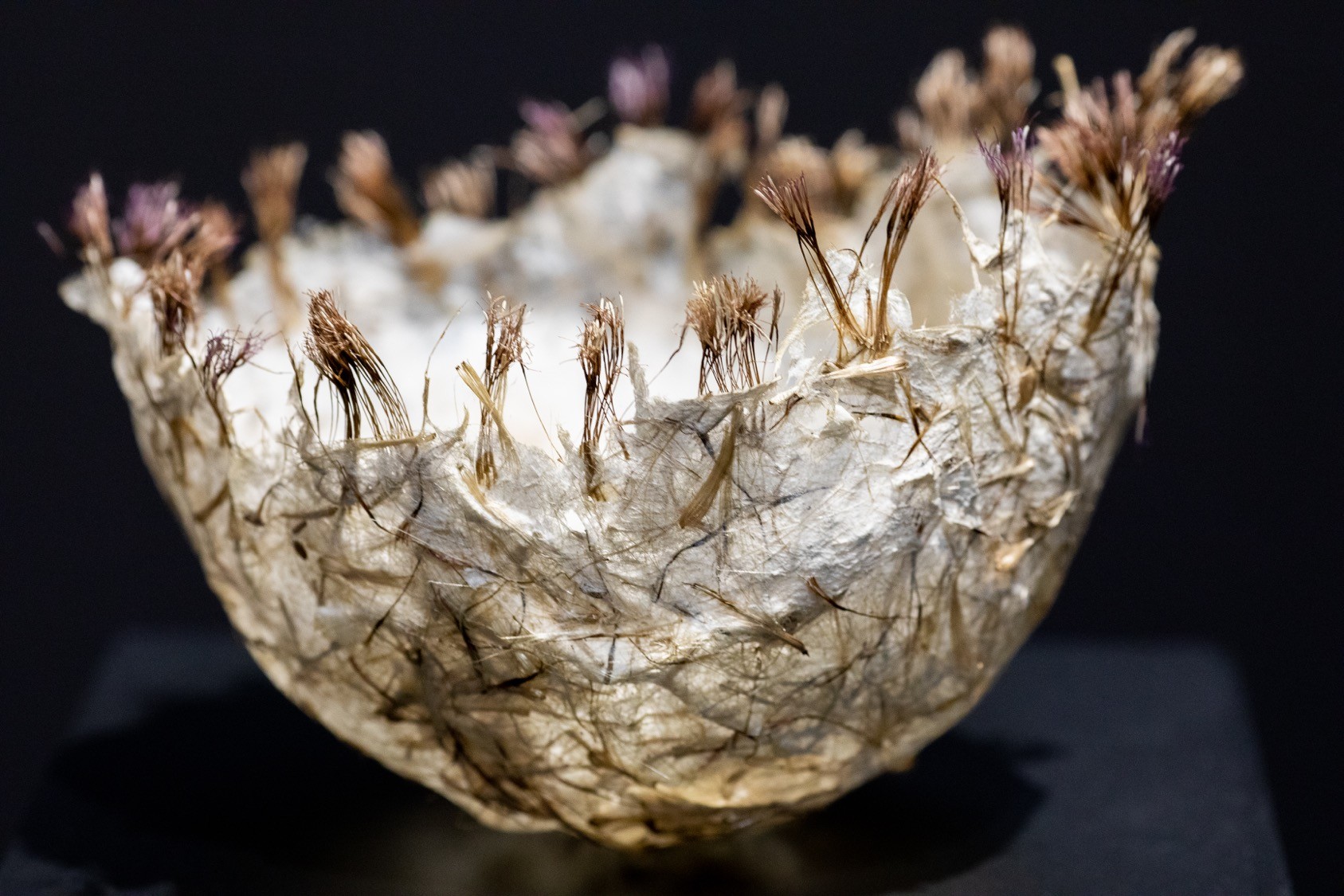 Bowl crowned with dried thistle flowers