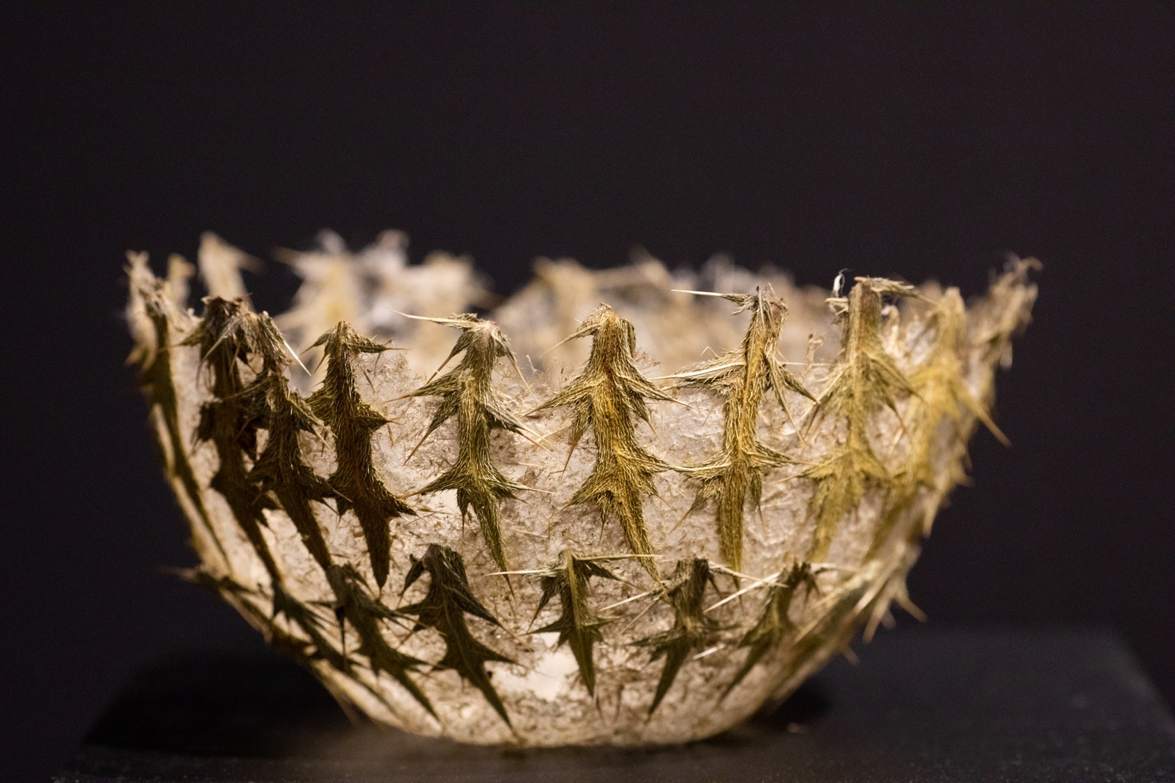 Bowl studded with thistle leaves