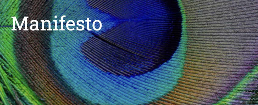Manifesto — peacock feather background